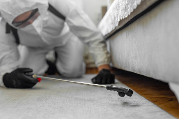 Professional Mosquito Control technician working in Firebaugh, CA
