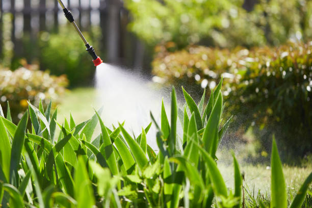 24/7 Emergency Mosquito Control experts in Firebaugh, CA